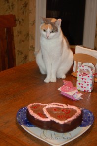 valentine cat