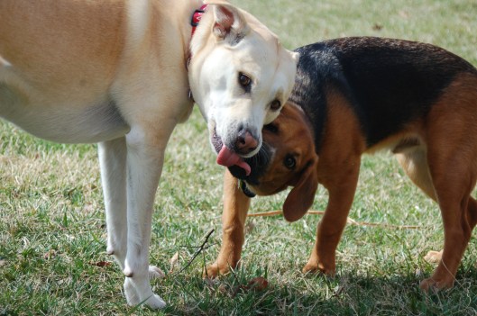 slirpy smooch slirpy smooch