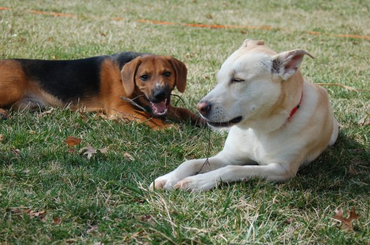 kickin'back kickin'back