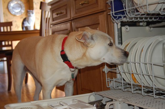 check the back for something scary check the back for something scary