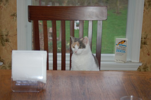 it's what's for dinner