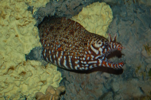 I'm outta here I'm outta here