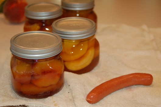 where did the hot dog come from???