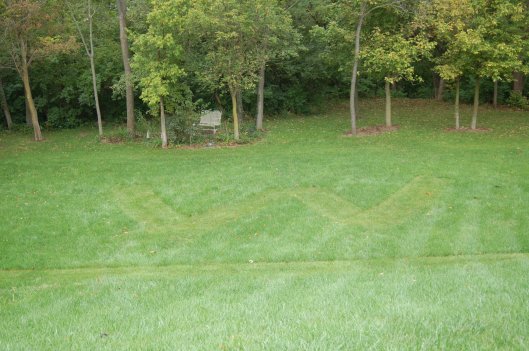 W is for wow! W is for wow!