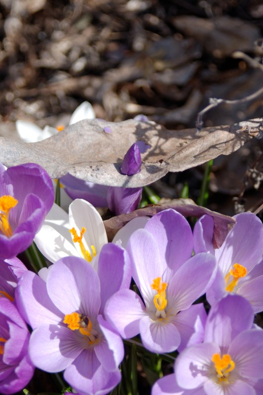 my kind of drill bit